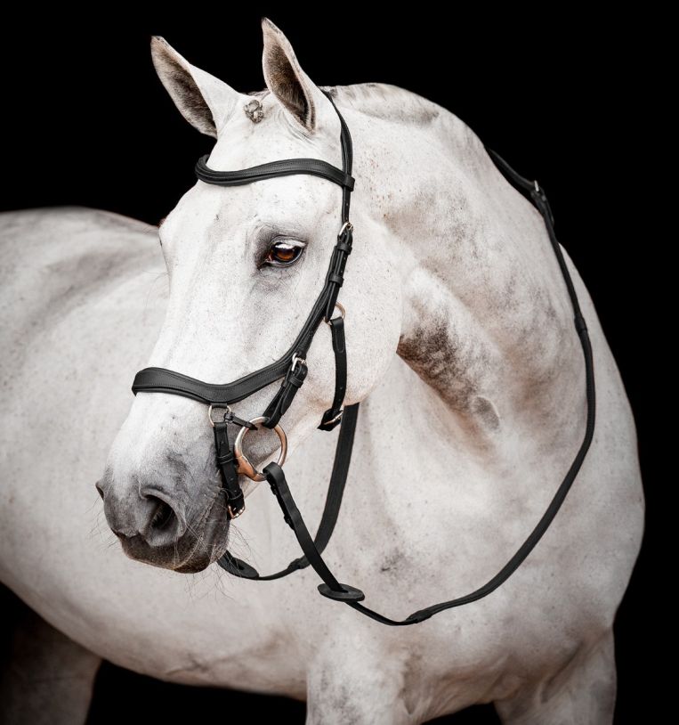 Rambo Micklem Competition Bridle - Country Ways