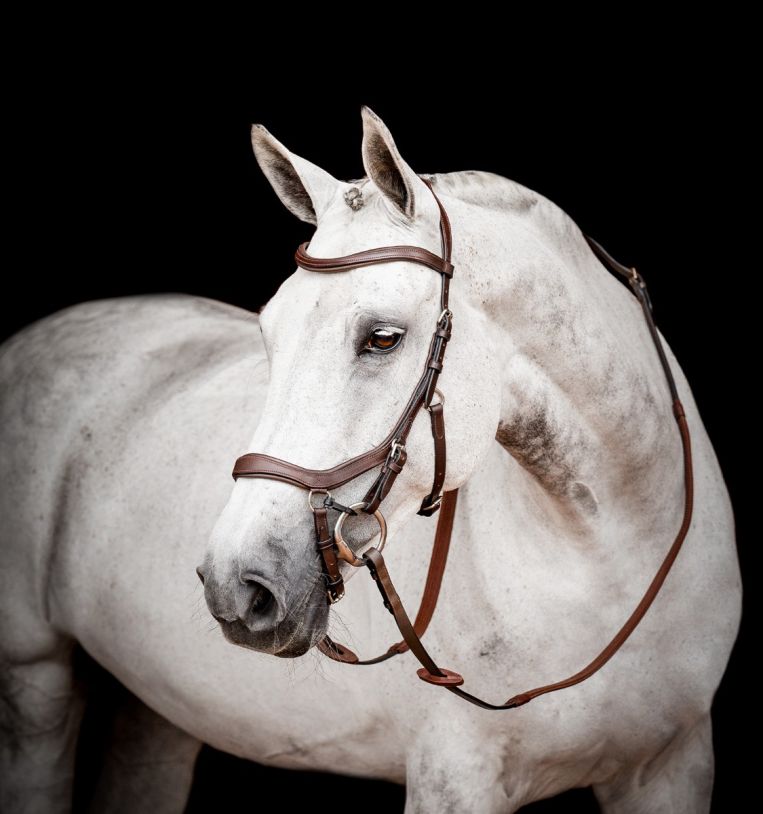 Rambo Micklem Competition Bridle - Country Ways