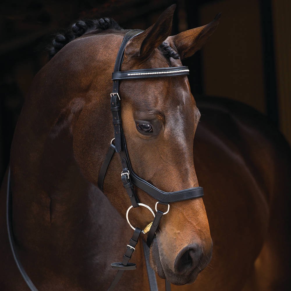 Rambo Micklem Competition Bridle - Country Ways