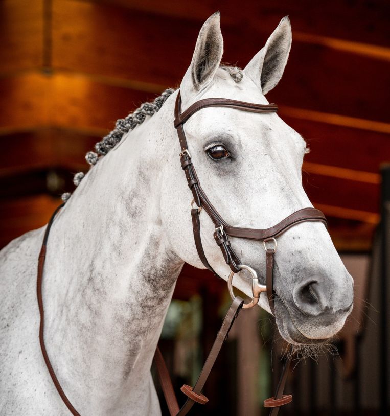 Rambo Micklem Competition Bridle - Country Ways