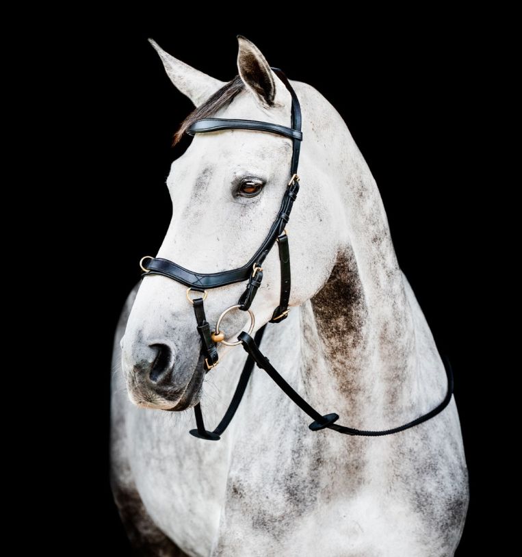 Rambo Micklem Multi Bridle - Country Ways