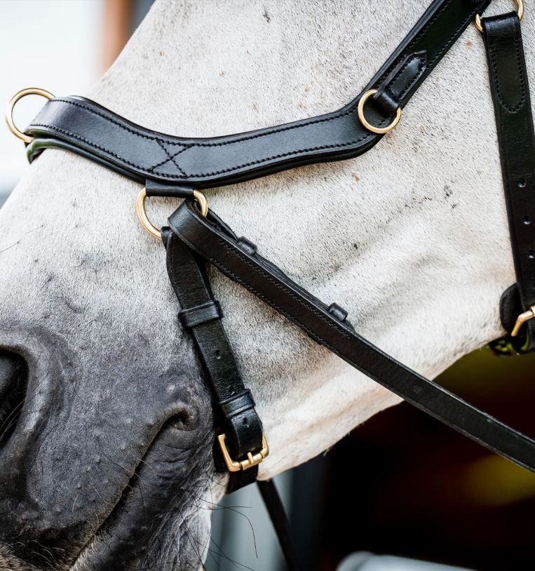 Rambo Micklem Multi Bridle - Country Ways