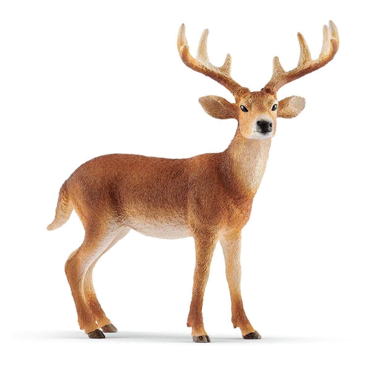Schleich White Tailed Buck - Country Ways