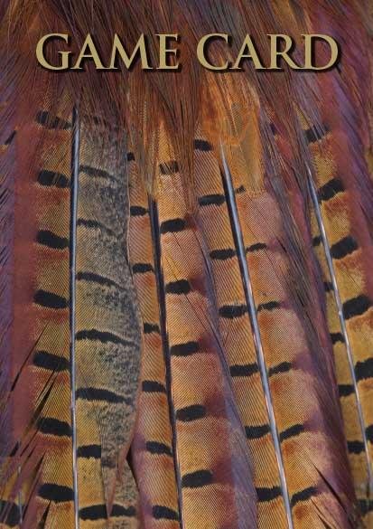 Shoot Game Cards - Pheasant Tail Feathers by Charles Sainsbury - Plaice - Country Ways
