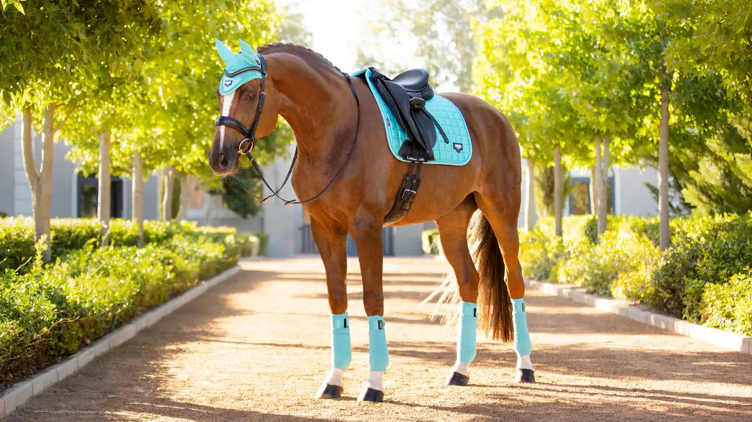 LeMieux Loire Classic Dressage Square Pad
