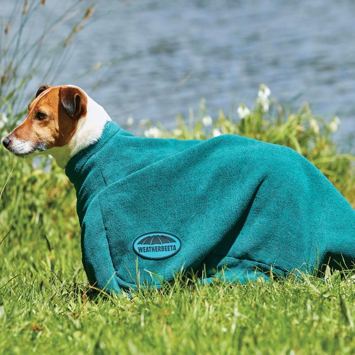 Weatherbeeta Dry - Dog Bag - Country Ways
