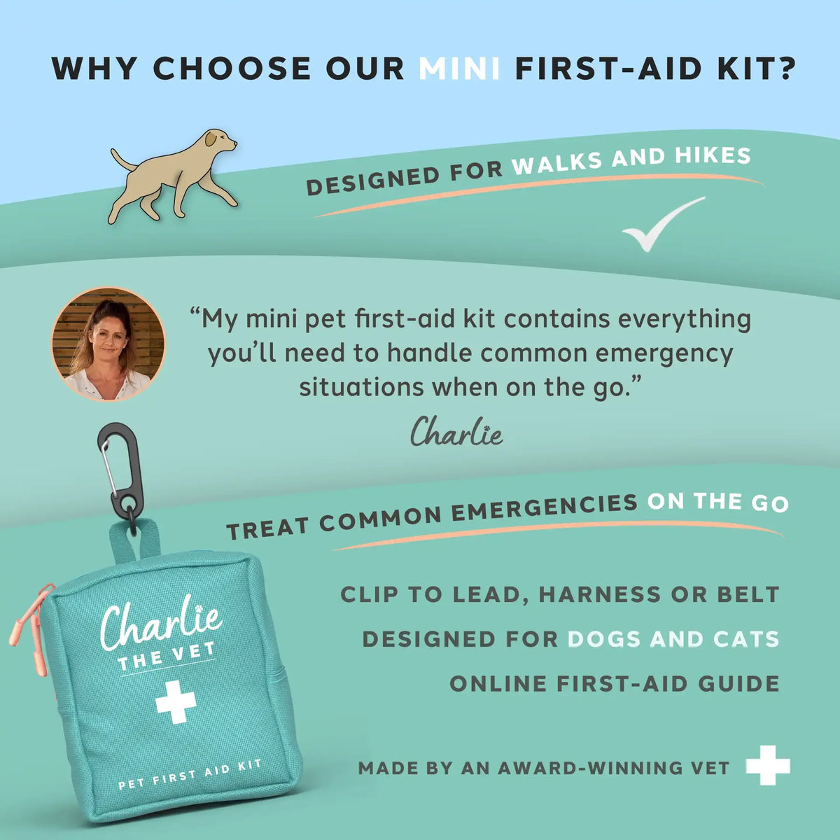 Charlie The Vet Mini Pet First Aid Kit