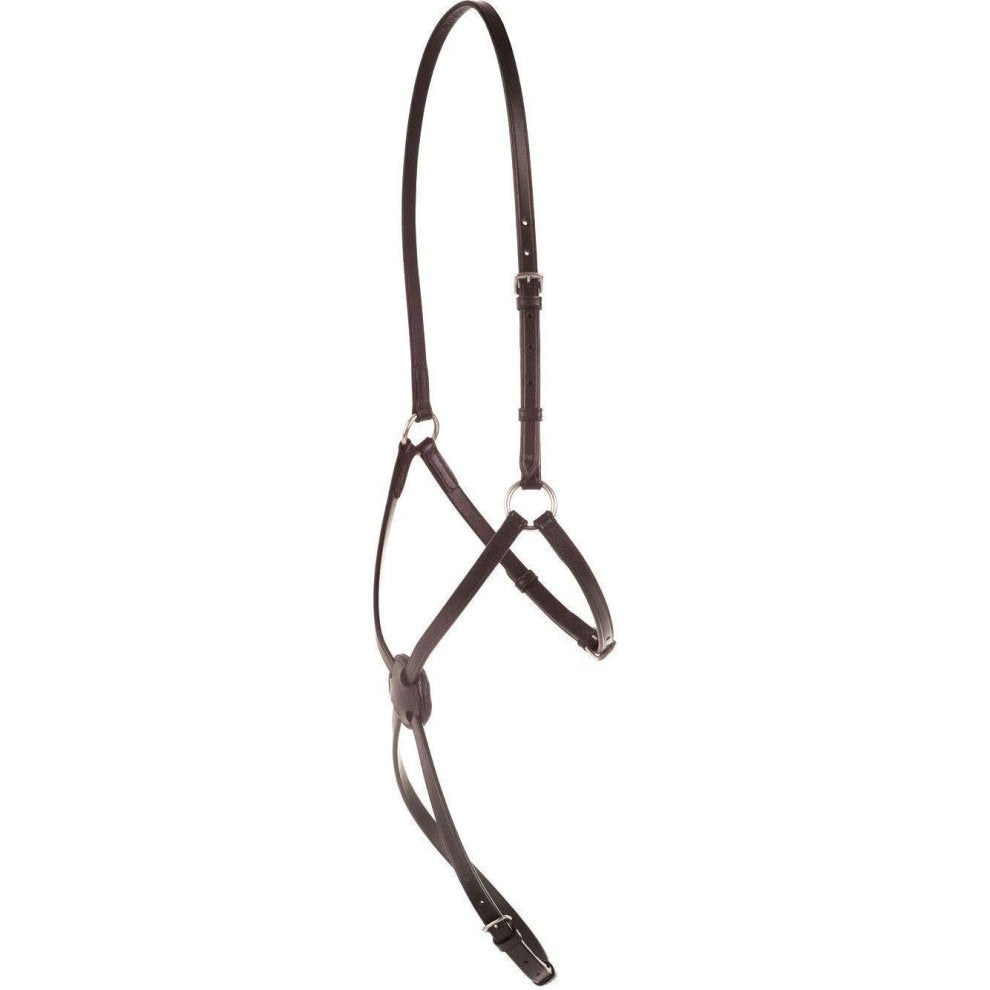 Kincade Grackle Cob Brown