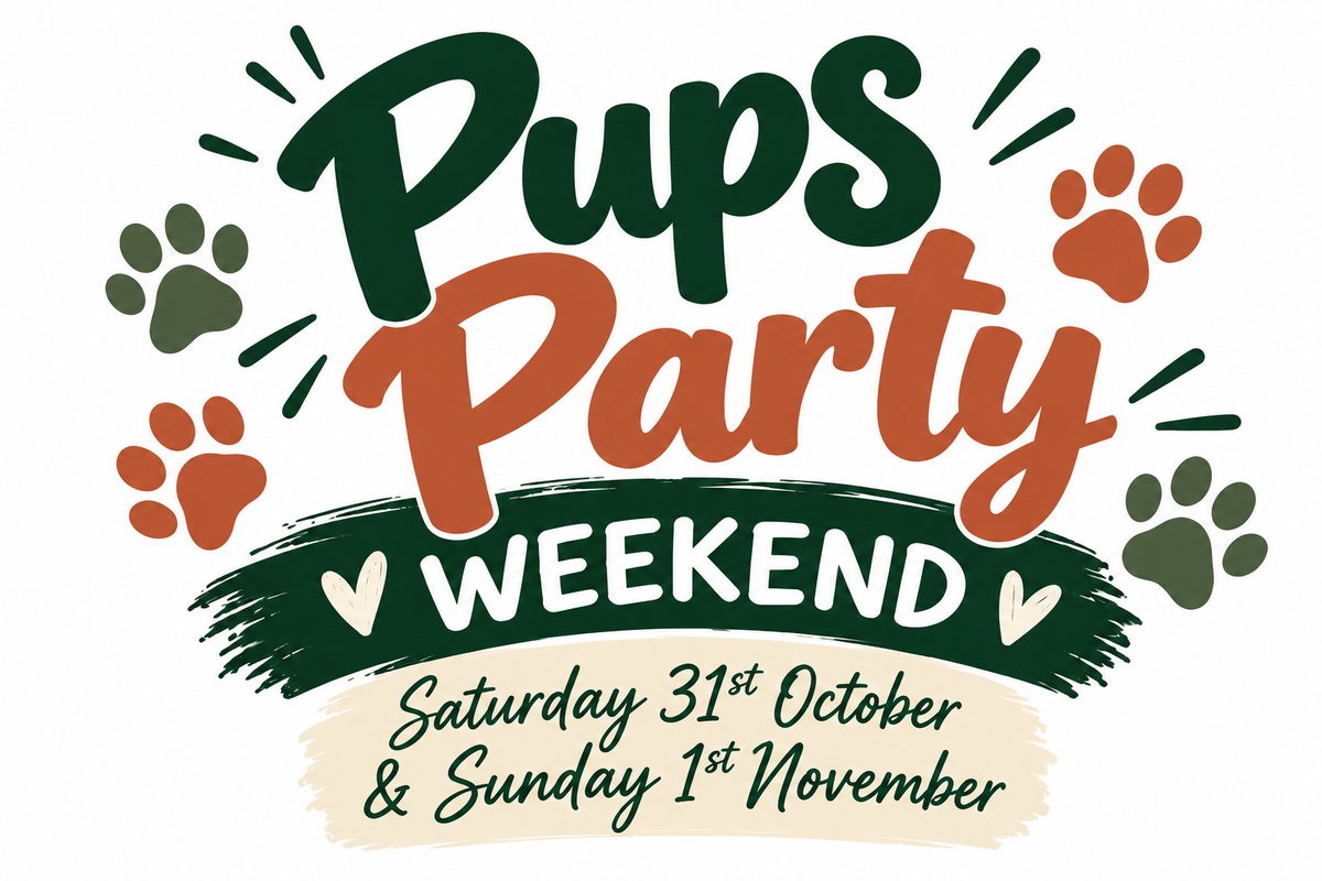 Pups Party Weekend at Country Ways Banchory – A Weekend of Four-Legged Fun