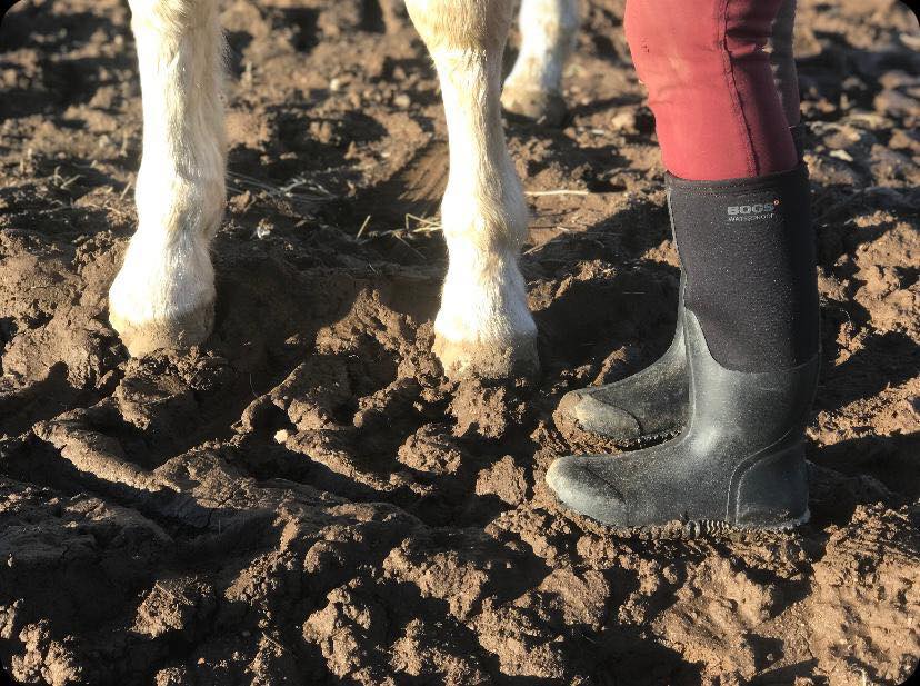 Bonkers about BOGS: The very wearable welly