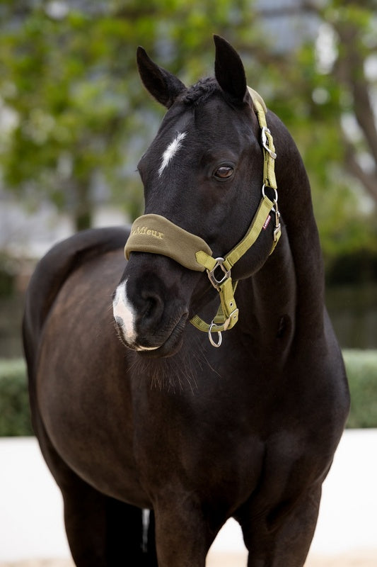 LeMieux Vogue Headcollar & Leadrope AW26