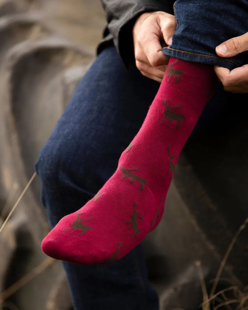 House Of Cheviot Cotton Stag Socks