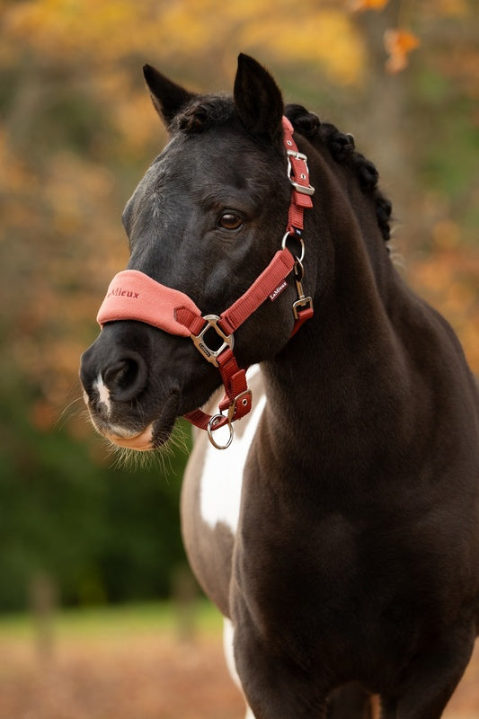 LeMieux Mini Vogue Headcollar & Leadrope AW26