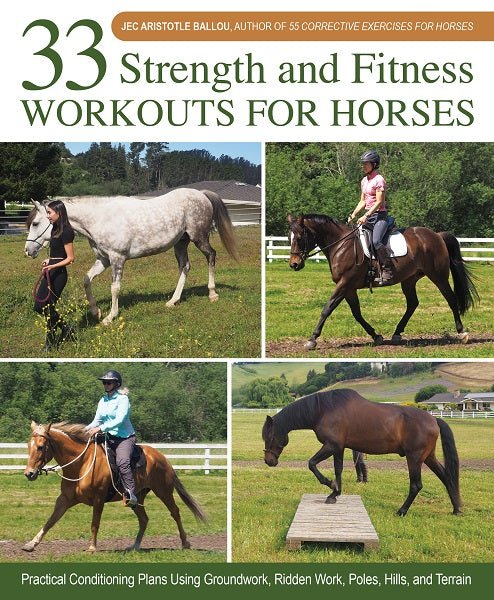 33 Strength and Fitness Workouts for Horses - Country Ways