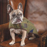 Digby & Fox Tweed Dog Coat