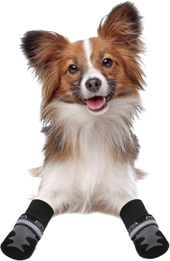 Pawise Doggy Boots