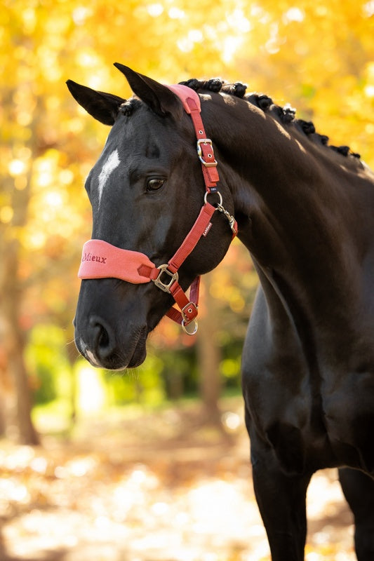 LeMieux Vogue Headcollar & Leadrope AW26