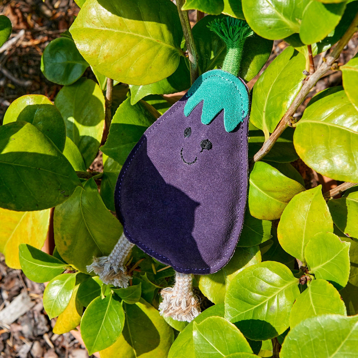 Green & Wild's Austin the Aubergine ECO Dog Toy