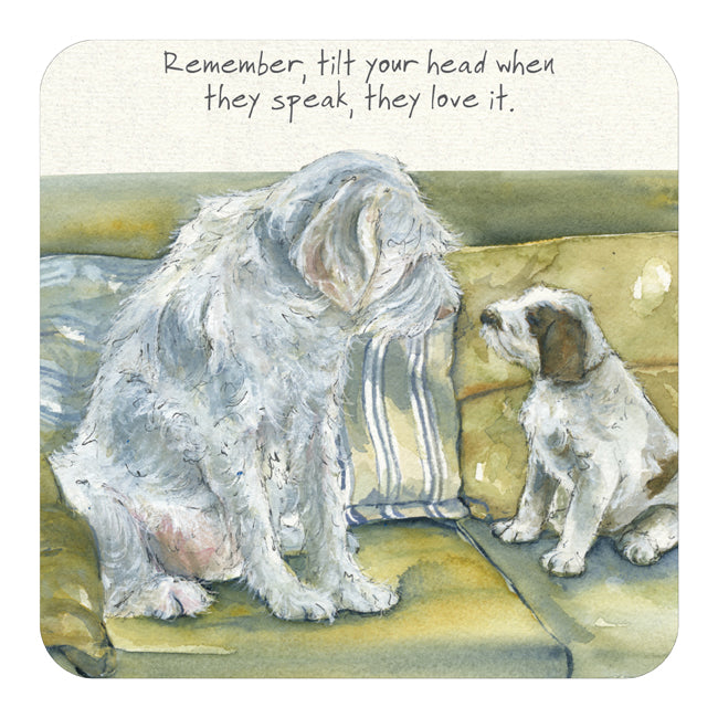 The Little Dog Laughed Coaster
