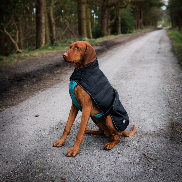 Danish Design Harness Dog Coat