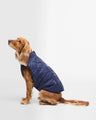 Barbour Field Reversible Dog Coat