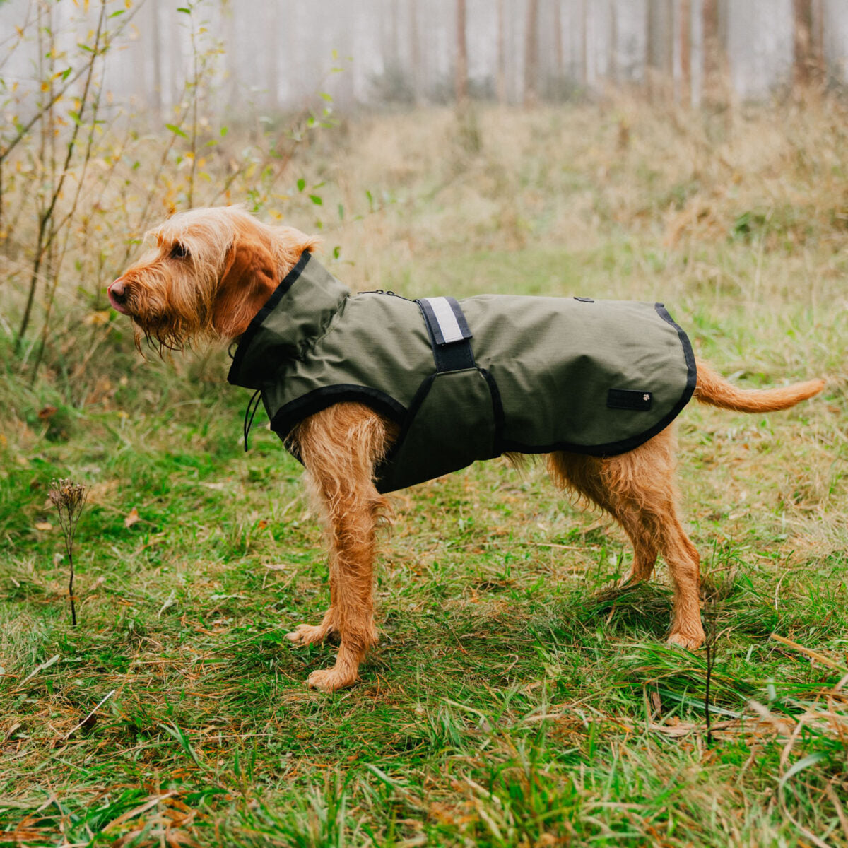 Danish Design 3-in-1 Dog Coat