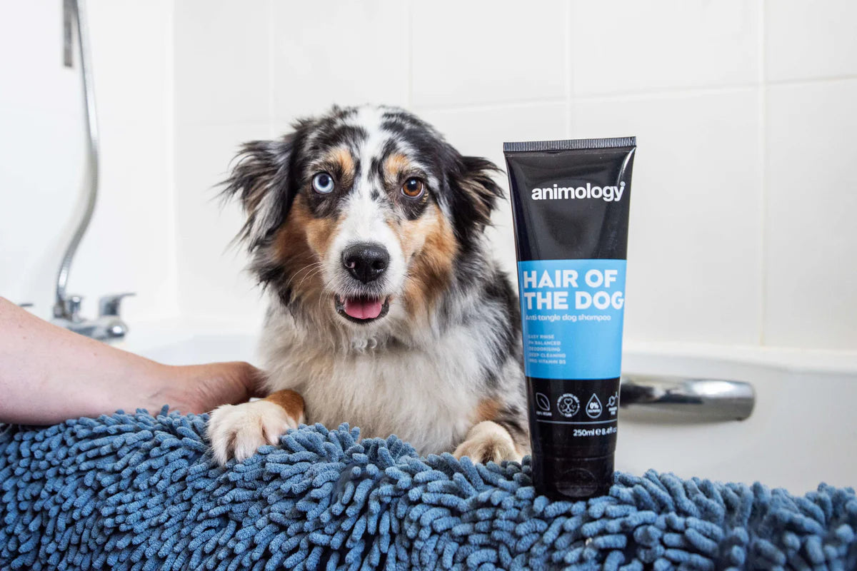 Animology Hair of the Dog Shampoo