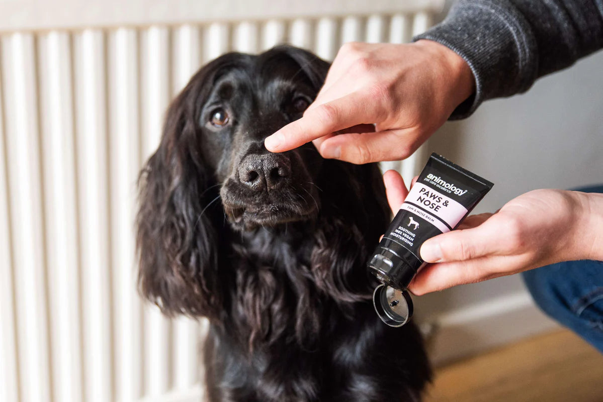 Animology Paws & Nose Balm
