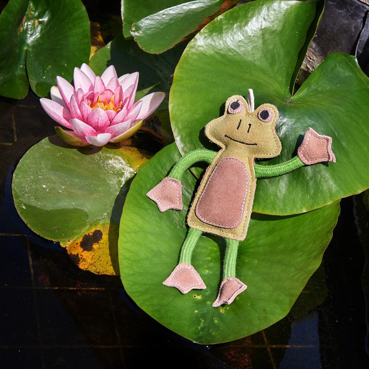 Green & Wild's Francois Le Frog ECO Dog Toy