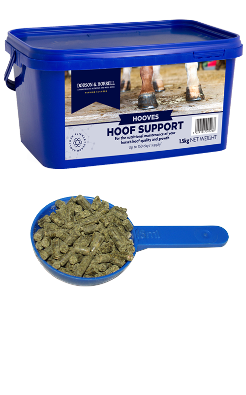 Dodson & Horrell Hoof Support