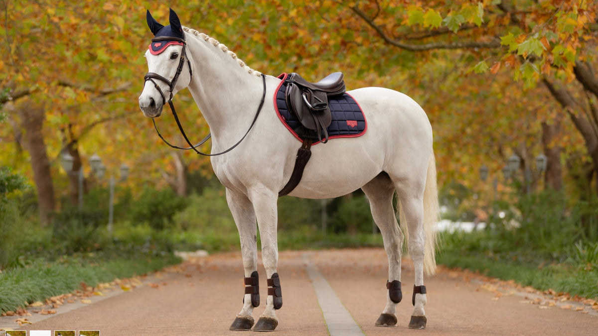 LeMieux Loire Classic Close Contact Square AW25