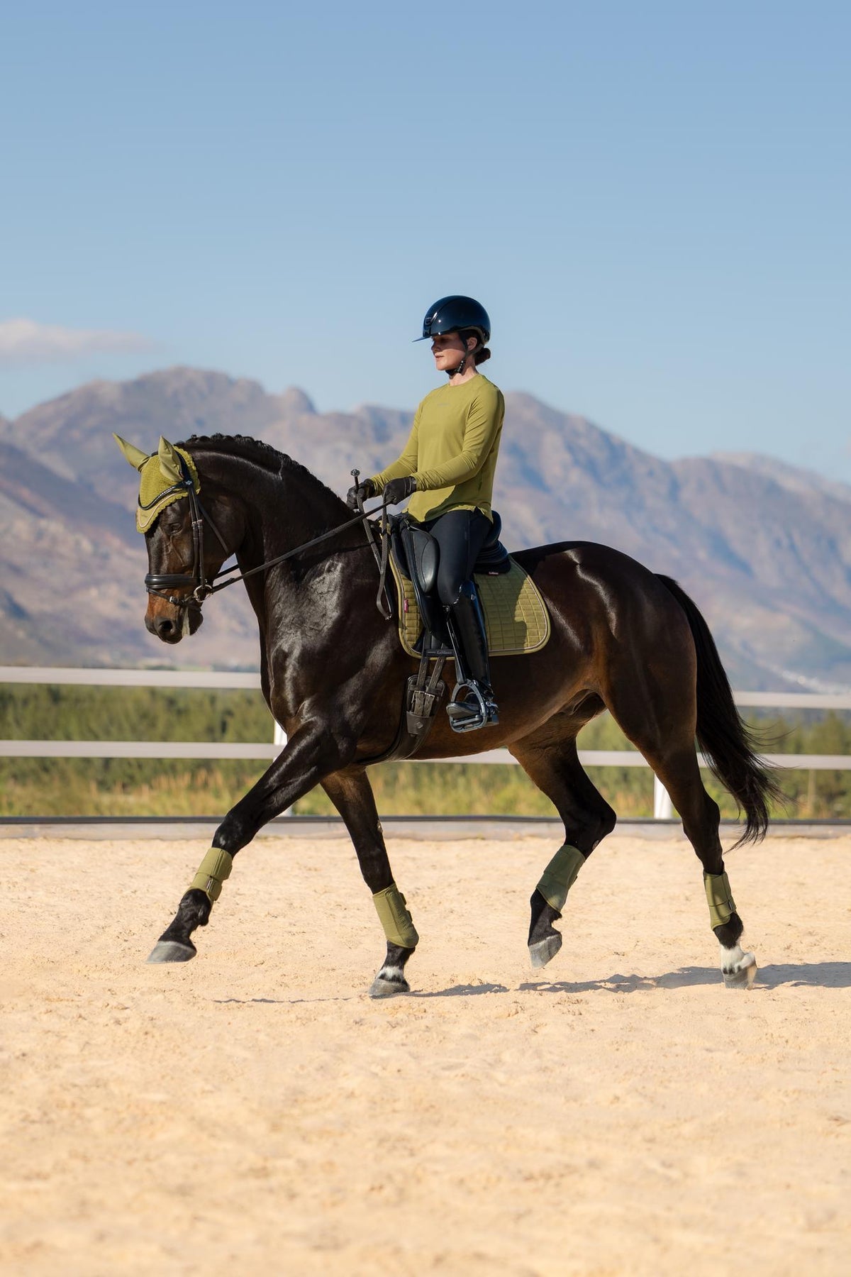 LeMieux Suede Dressage Square AW26
