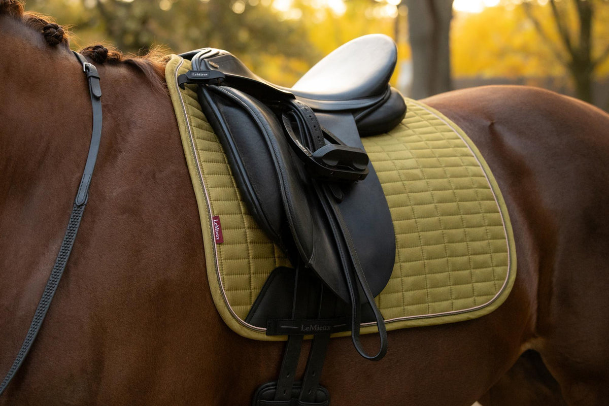 LeMieux Suede Dressage Square AW26