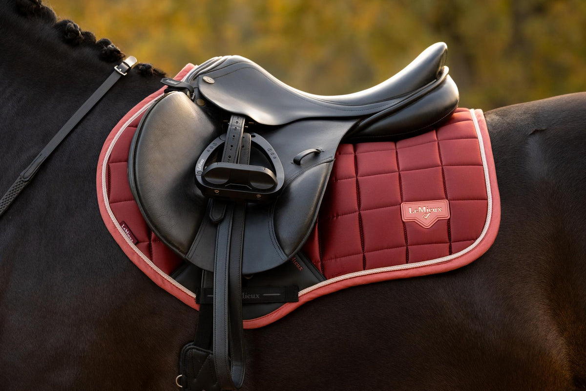 LeMieux Loire Classic CC Square AW26