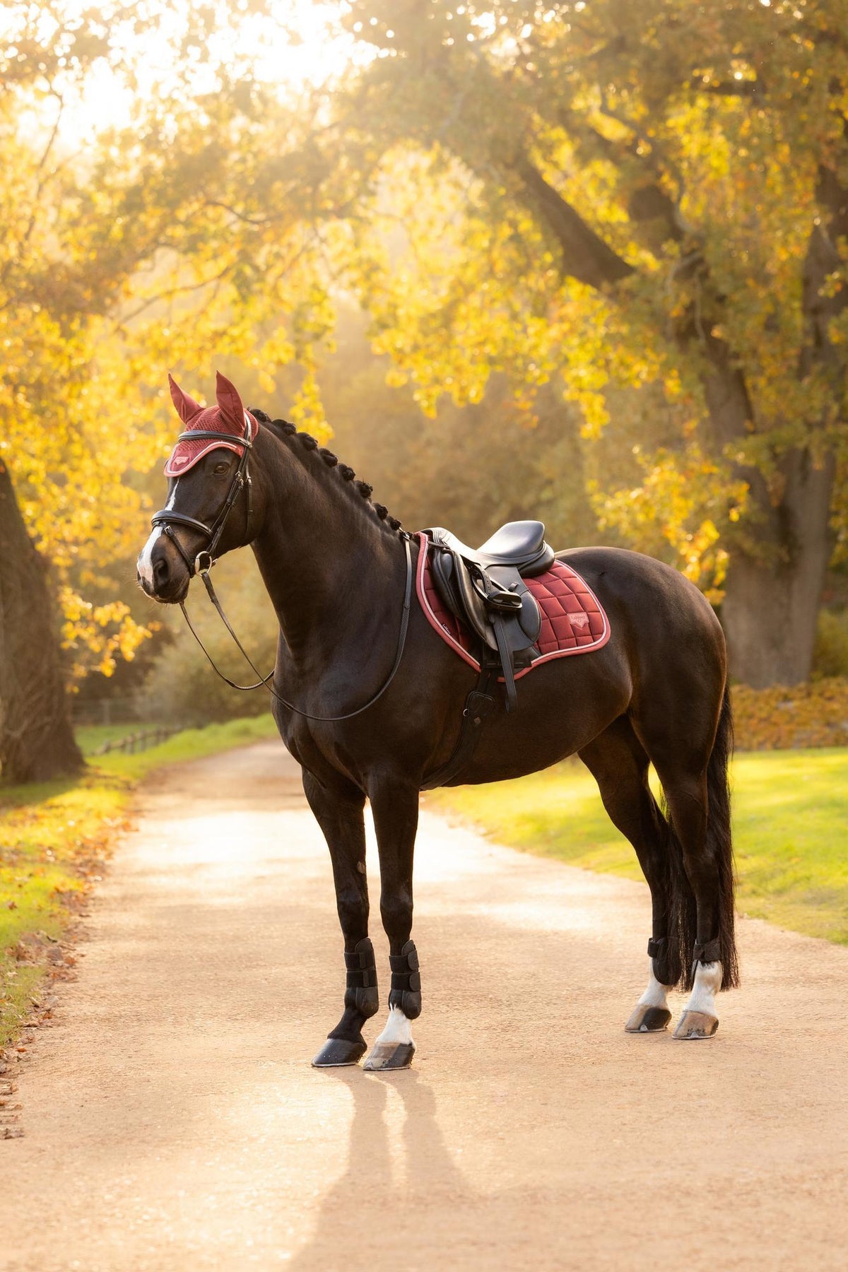 LeMieux Loire Classic CC Square AW26