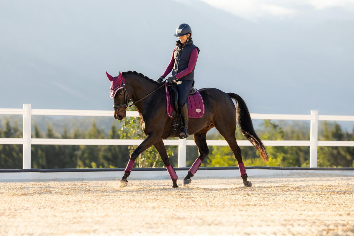 LeMieux Loire Classic Dressage Square AW26