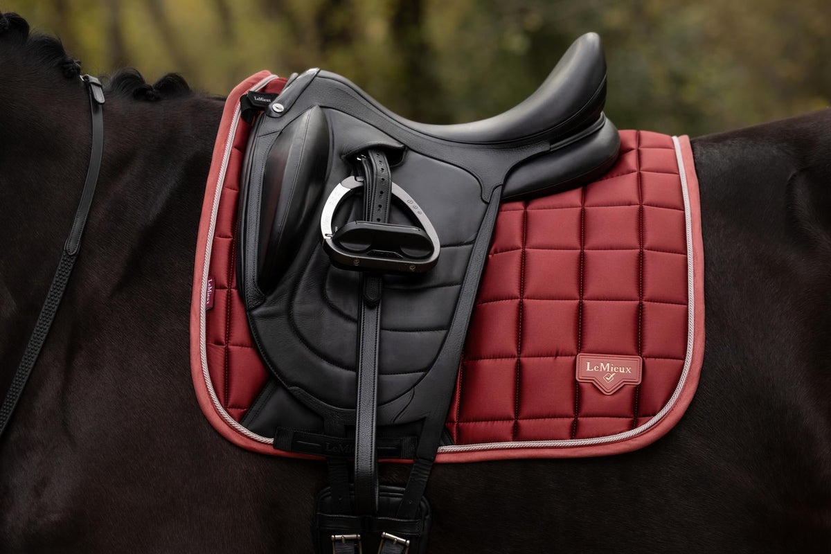 LeMieux Loire Classic Dressage Square AW26