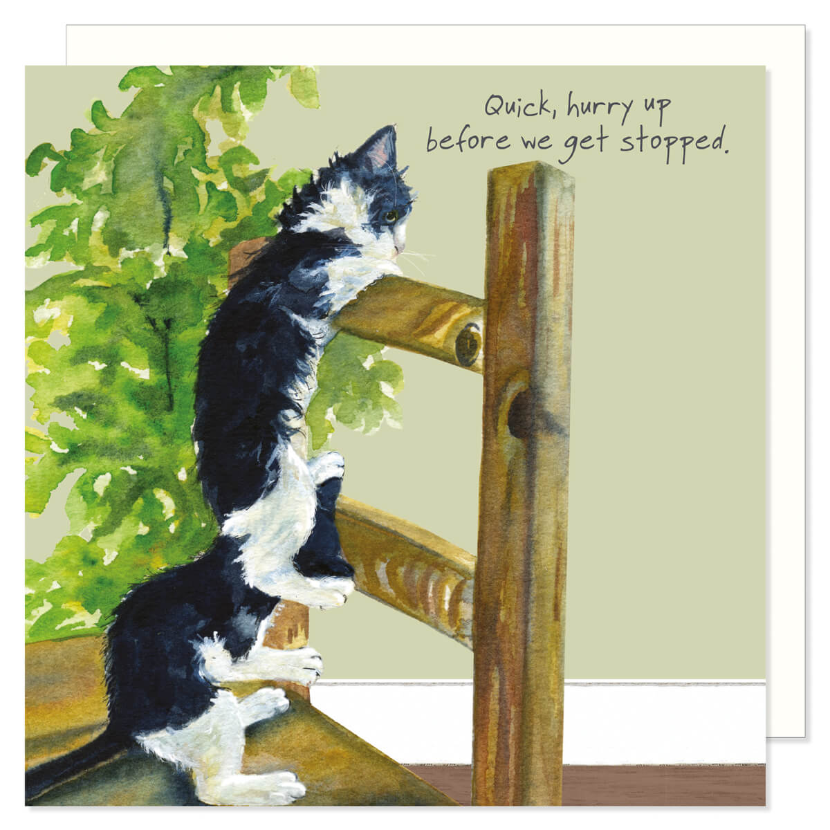 The Little Dog Laughed - The Digs&Manor Collection - Sqaure
