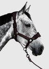 Aztec Diamond Panel Head Collar & Leadrope AW26