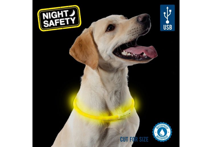 Ancol USB Flashing Band Dog Collar - Country Ways