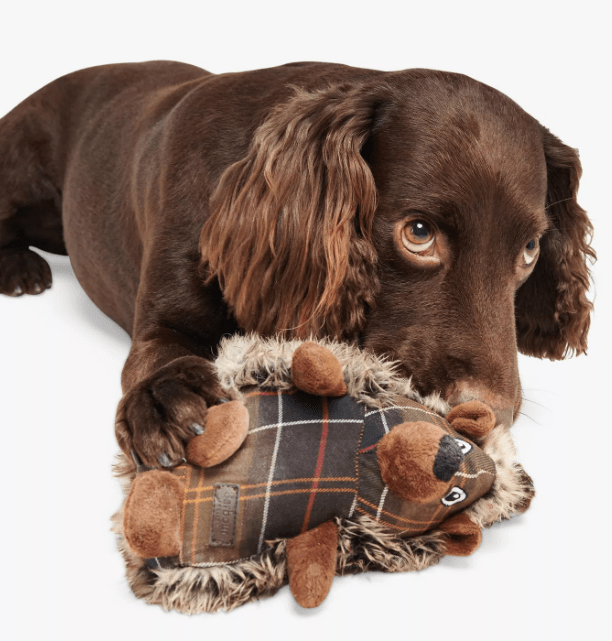 Barbour Hedgehog Dog Toy - Country Ways