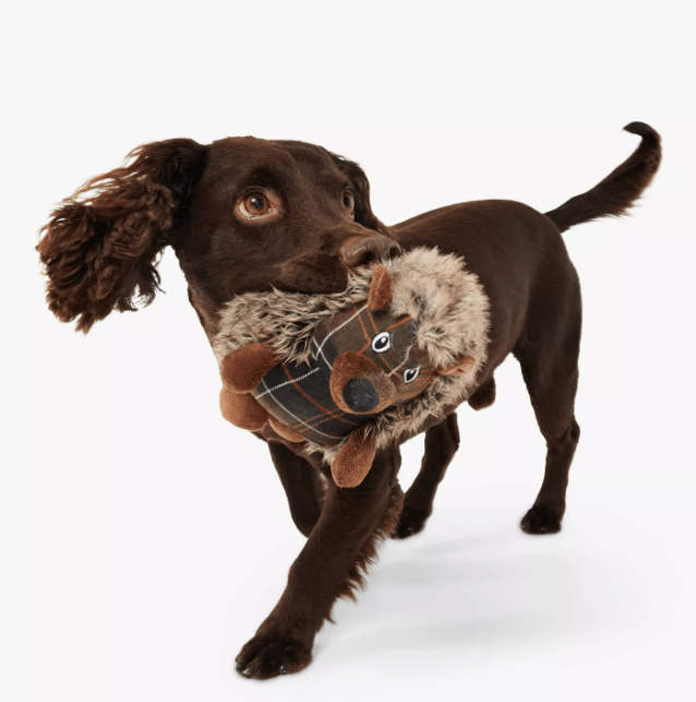 Barbour Hedgehog Dog Toy - Country Ways