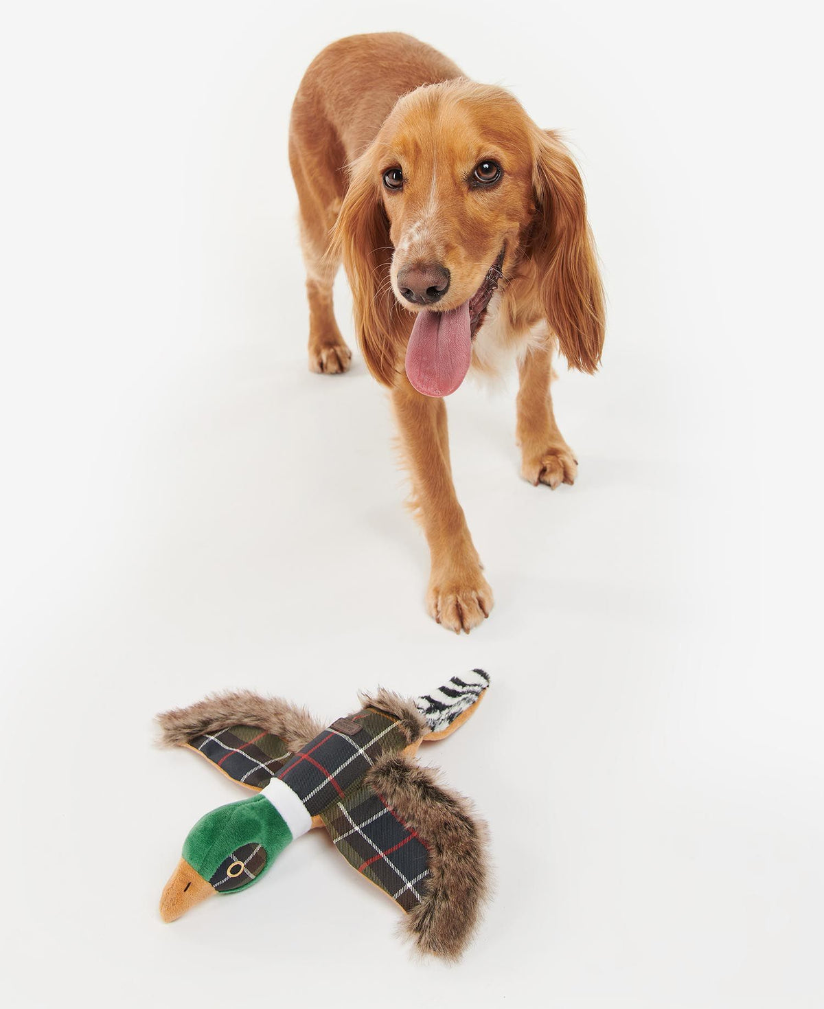 Barbour Pheasant Dog Toy - Country Ways
