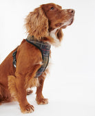 Barbour Tartan Dog Harness - Country Ways