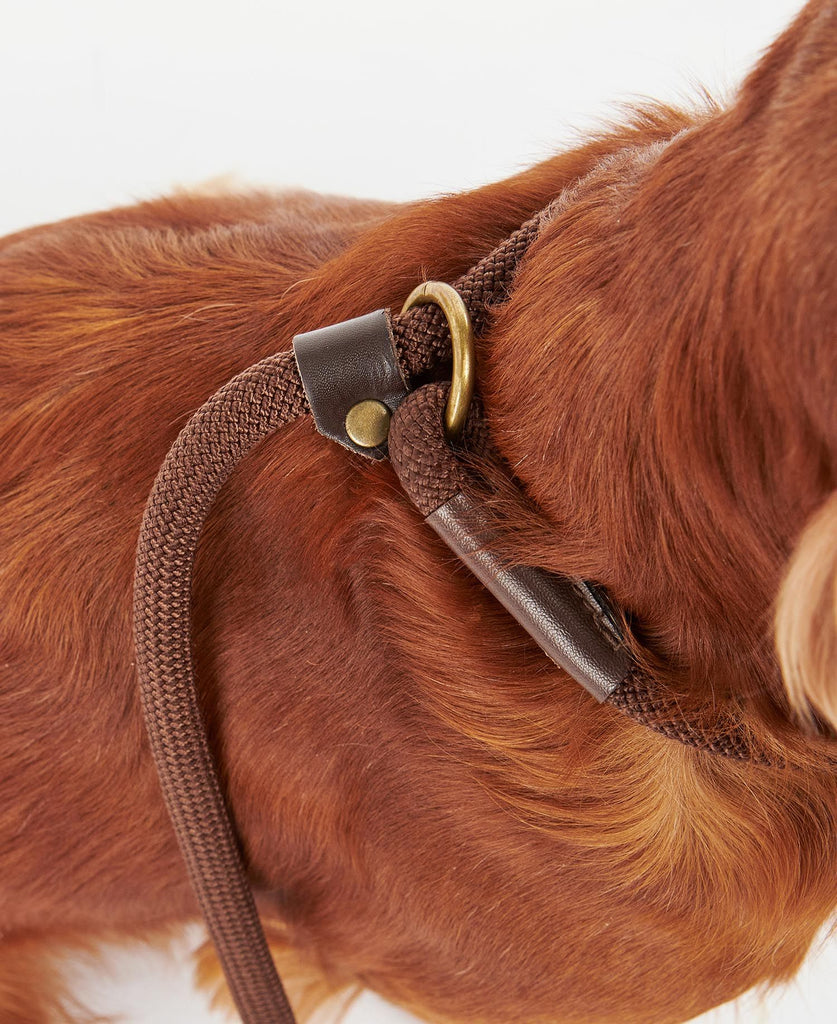 Barbour Tartan Trimmed Slip Lead - Country Ways