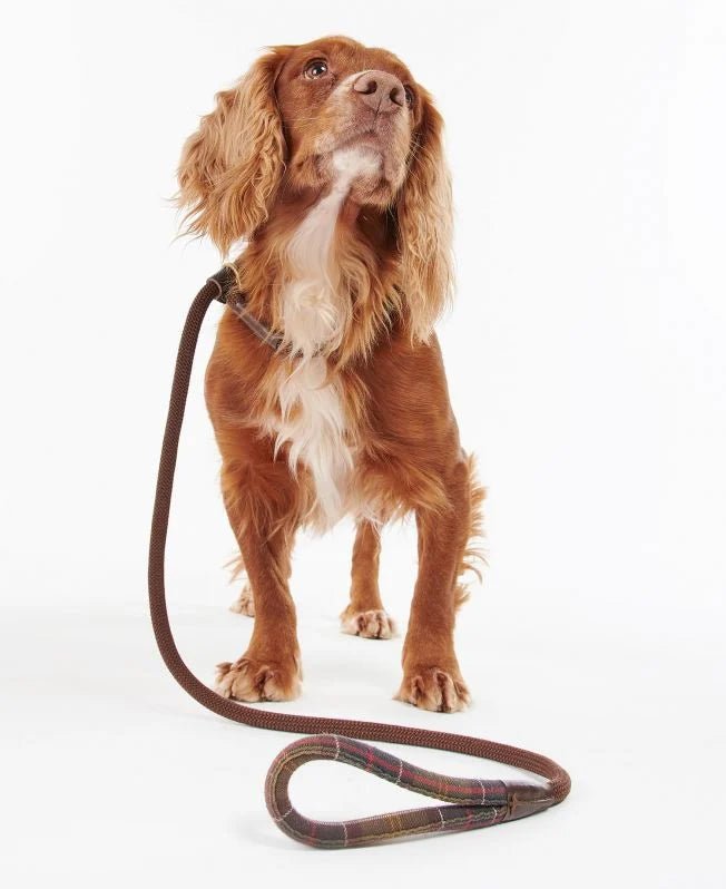 Barbour Tartan Trimmed Slip Lead - Country Ways