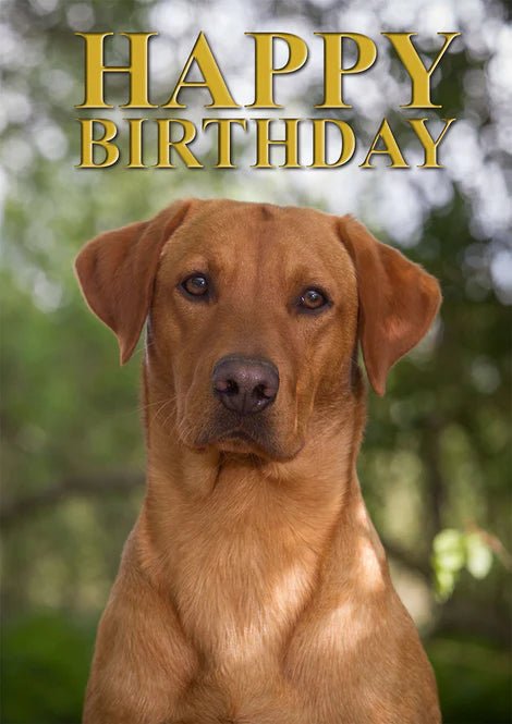 Birthday Greeting Card - Charles Sainsbury - Plaice - Country Ways