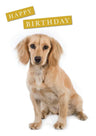 Birthday Greeting Card - Charles Sainsbury - Plaice - Country Ways