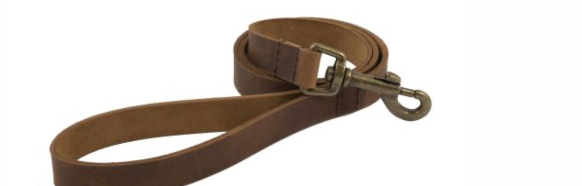 Bisley Heritage Leather Dog Lead - Country Ways