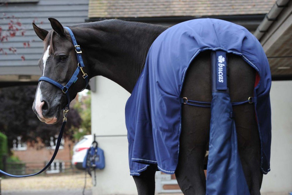 Bucas Tail Protector Bag Navy - Country Ways